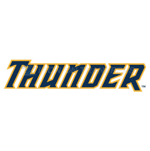 Trenton Thunder Iron-on Stickers (Heat Transfers)NO.7874